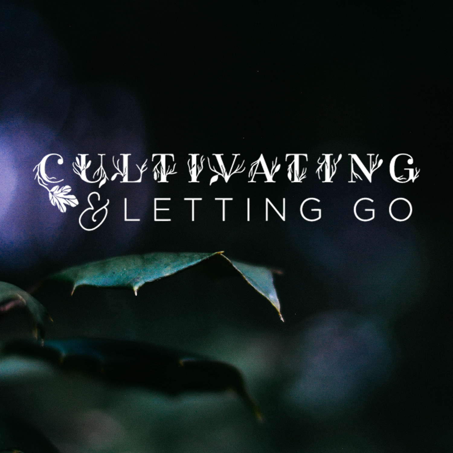 cultivating_letting_go_branding_cover.jpg