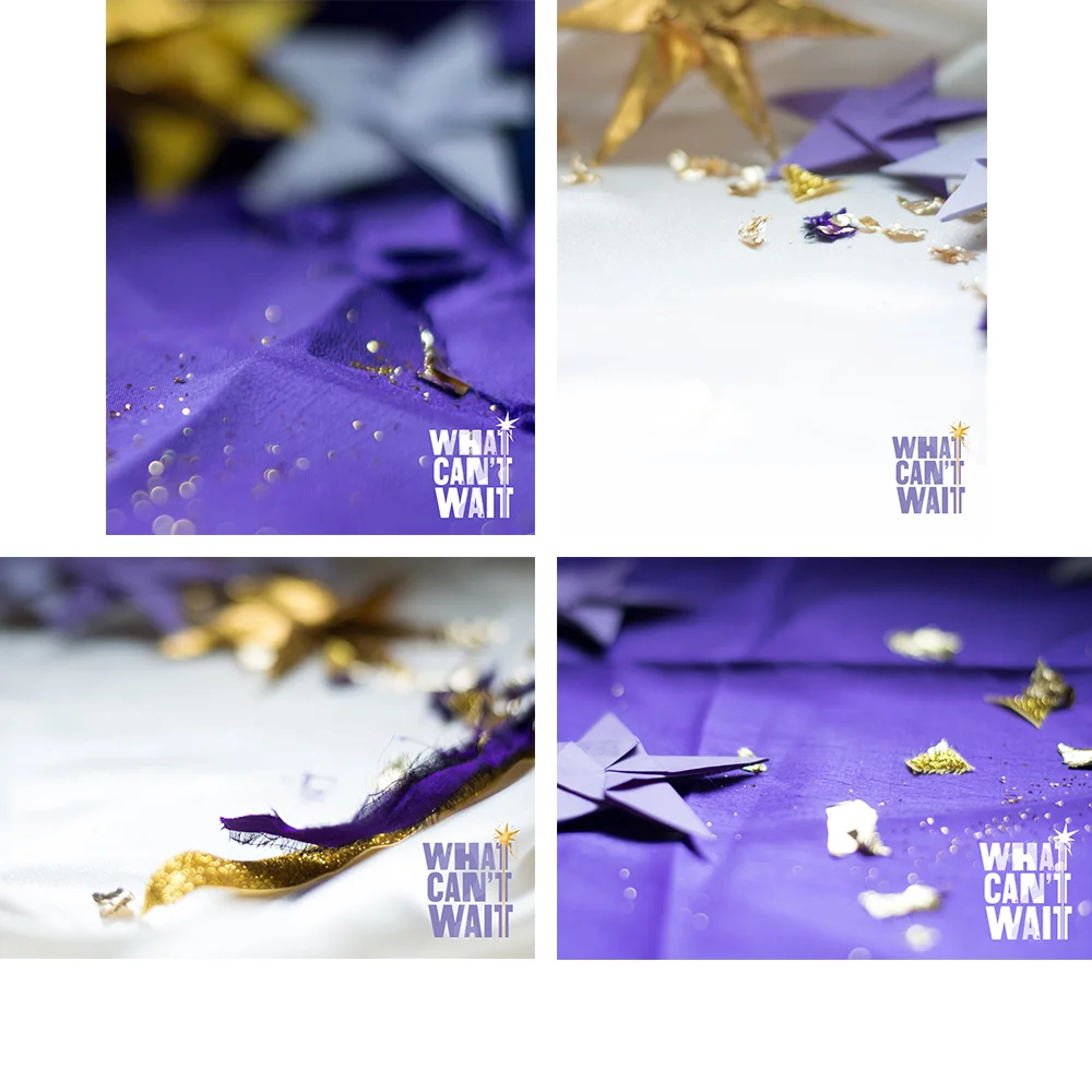 what can't wait branding preview2.jpg