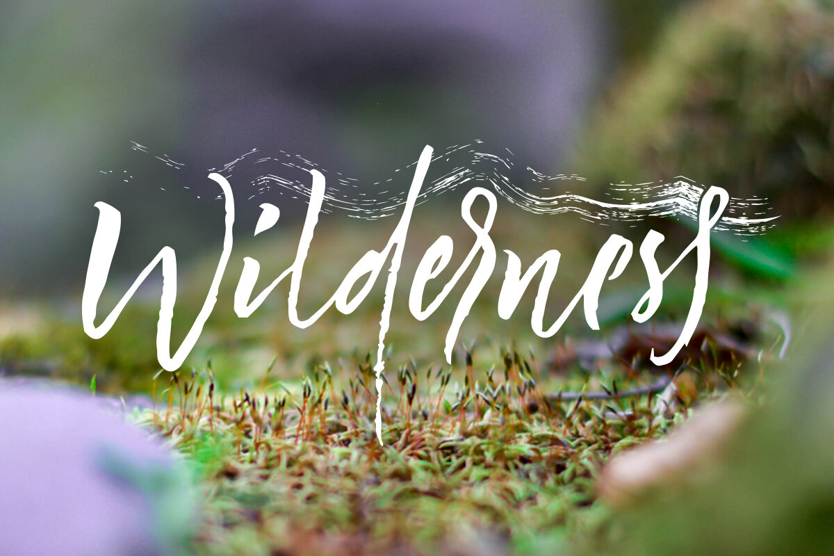 wilderness_4x6brandingbundleimage.jpg