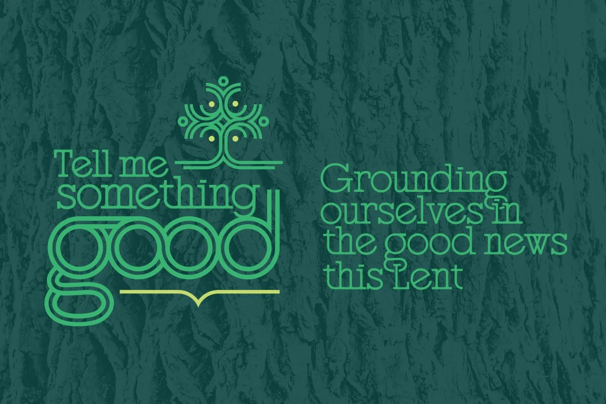 TMSG_4x6brandingbundleimage (2).jpg