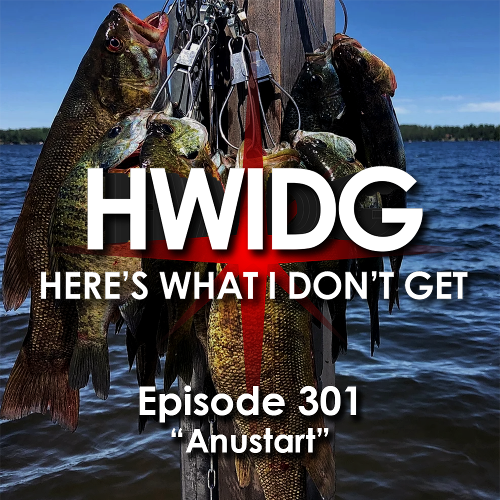 Episode 301 - Anustart episode artwork
