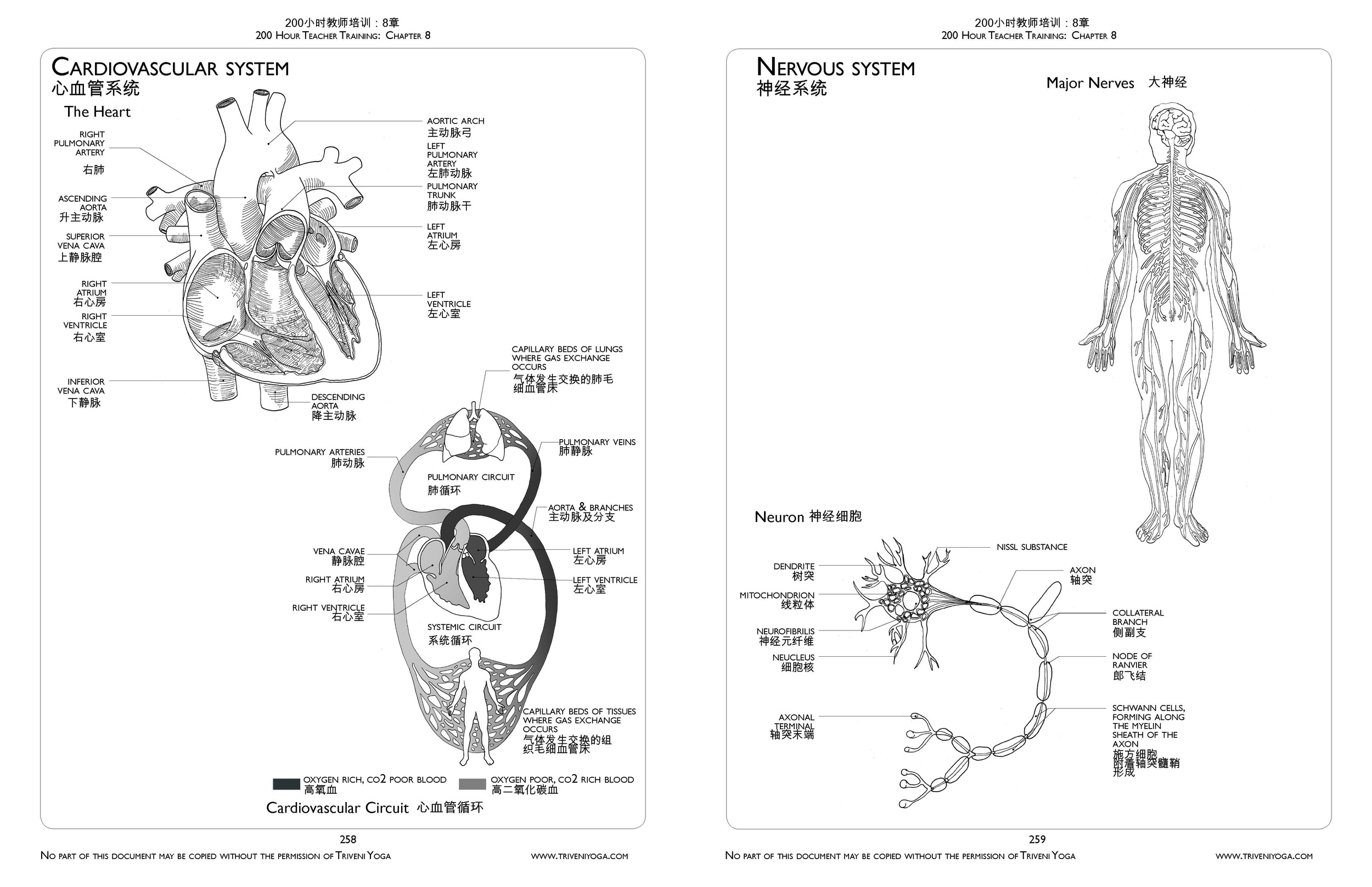Binder1_Page_05.jpg