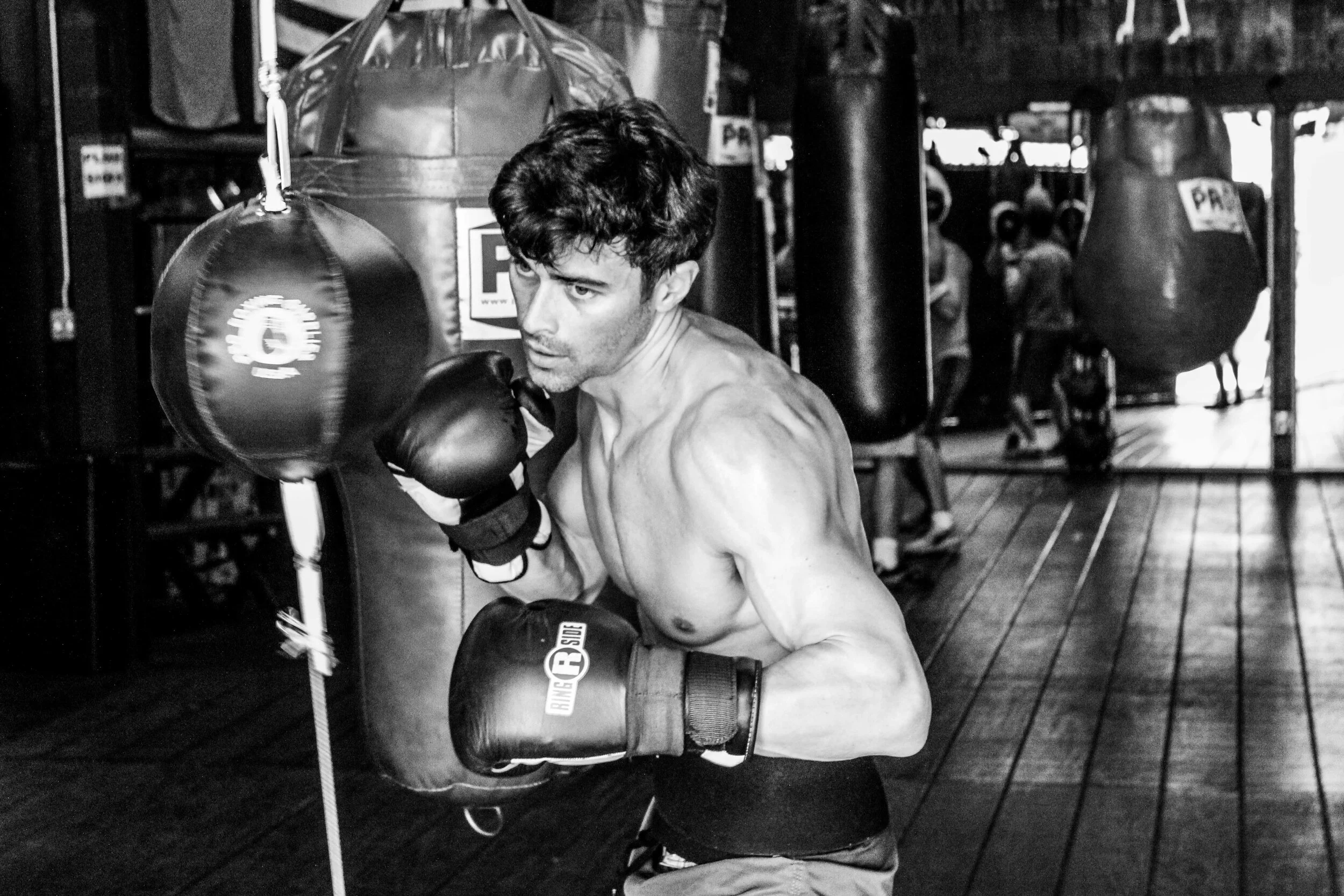 Boxer 10.JPG