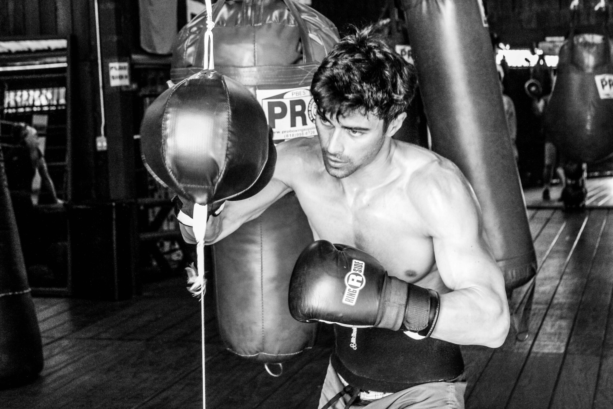 Boxer 11.JPG