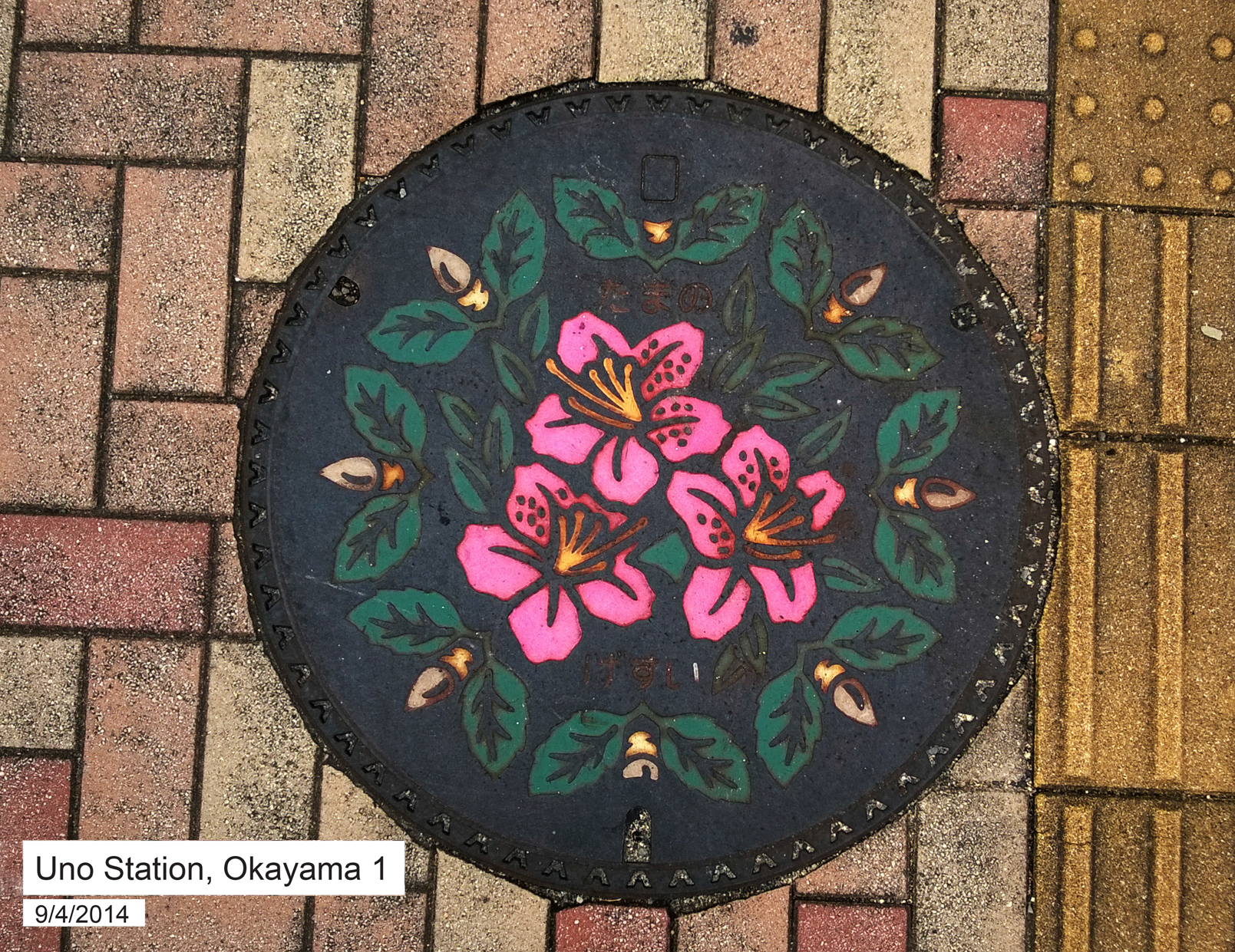 Manhole_Zoom_5.png