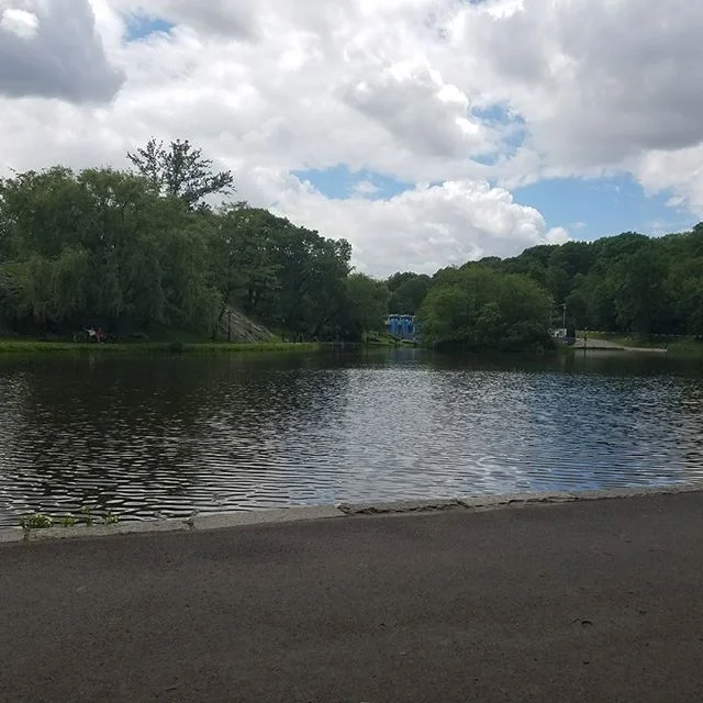 Soothing views at lunch time. The Harlem Meer in Central Park. #harlemviews #CentralPark #Harlem