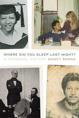 Danzy-Senna-Book.jpg