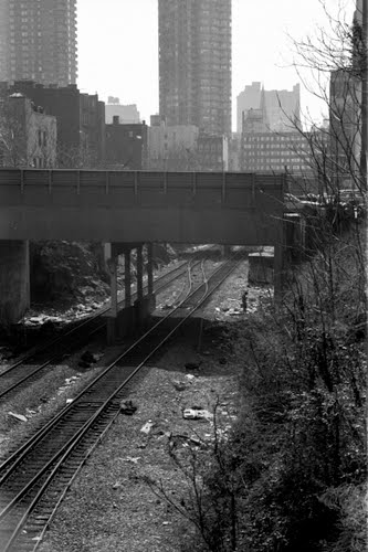 Harlem 1995-2.jpg