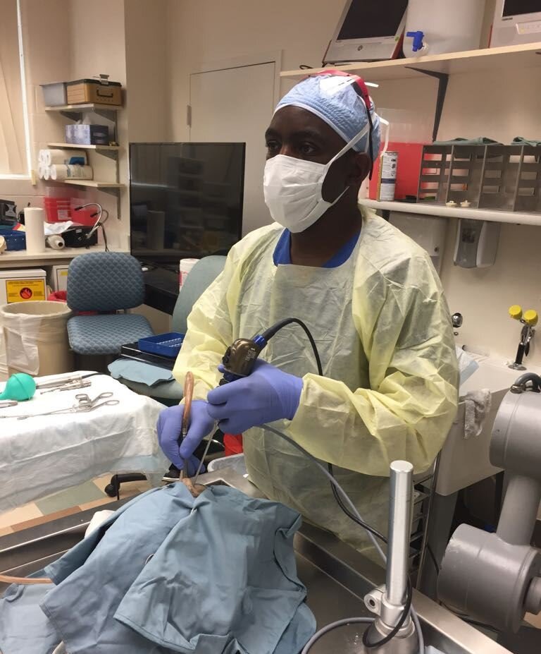Clinical Research Practising Endoscopy in the Anatomy Lab2.jpeg