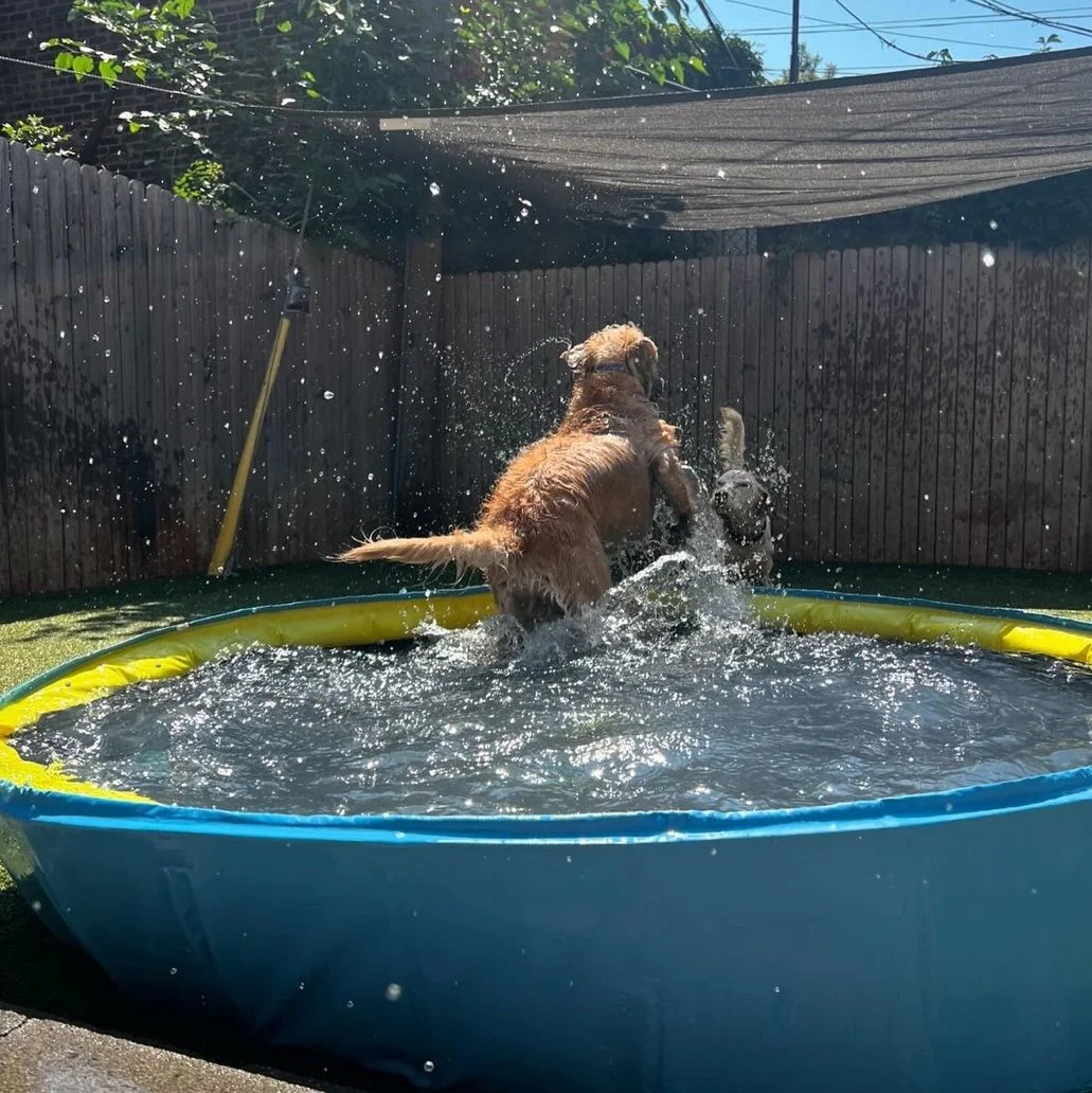 Daycare.Pool Time.jpeg