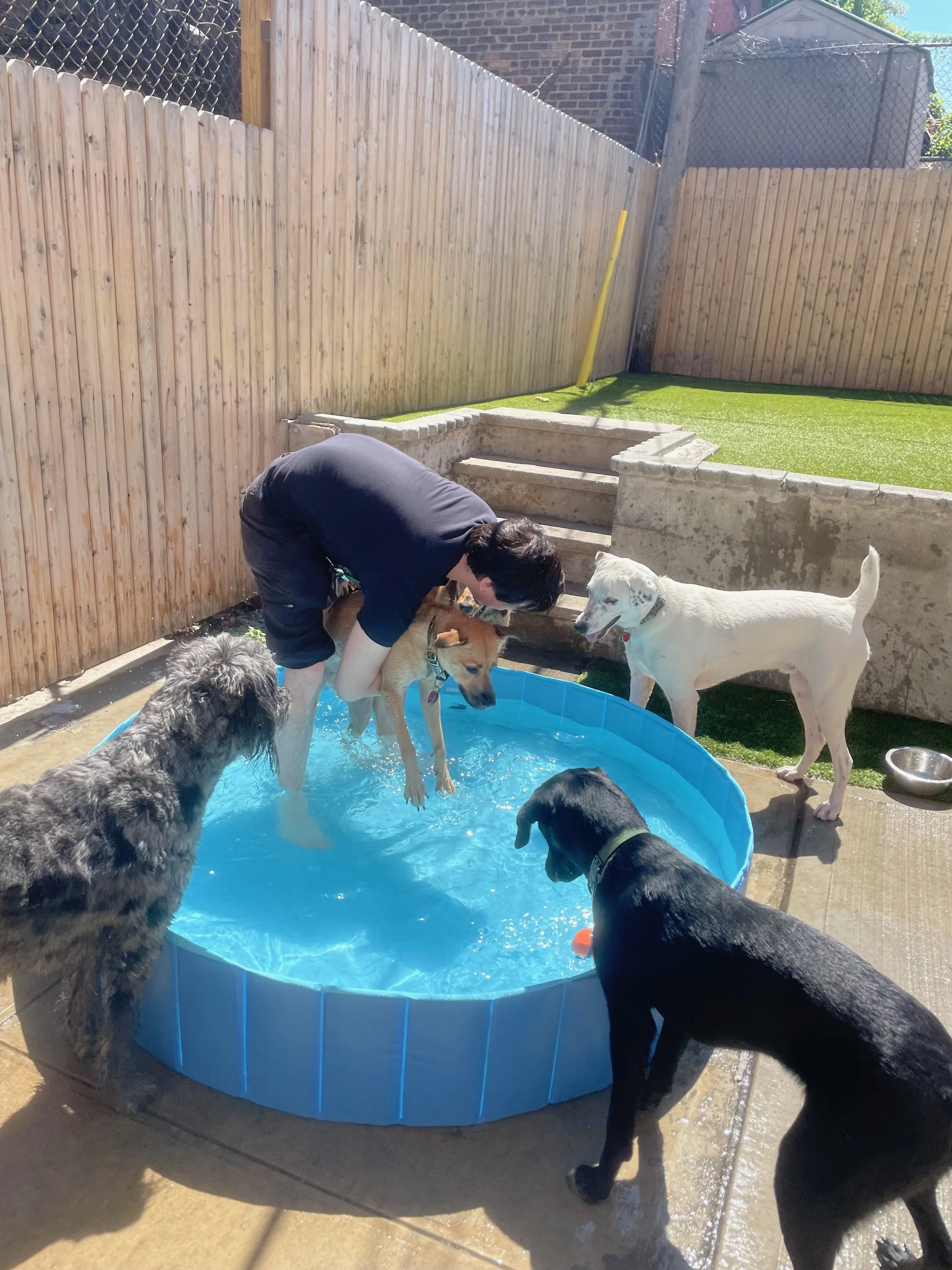 Daycare.Pool with Stephen.jpeg