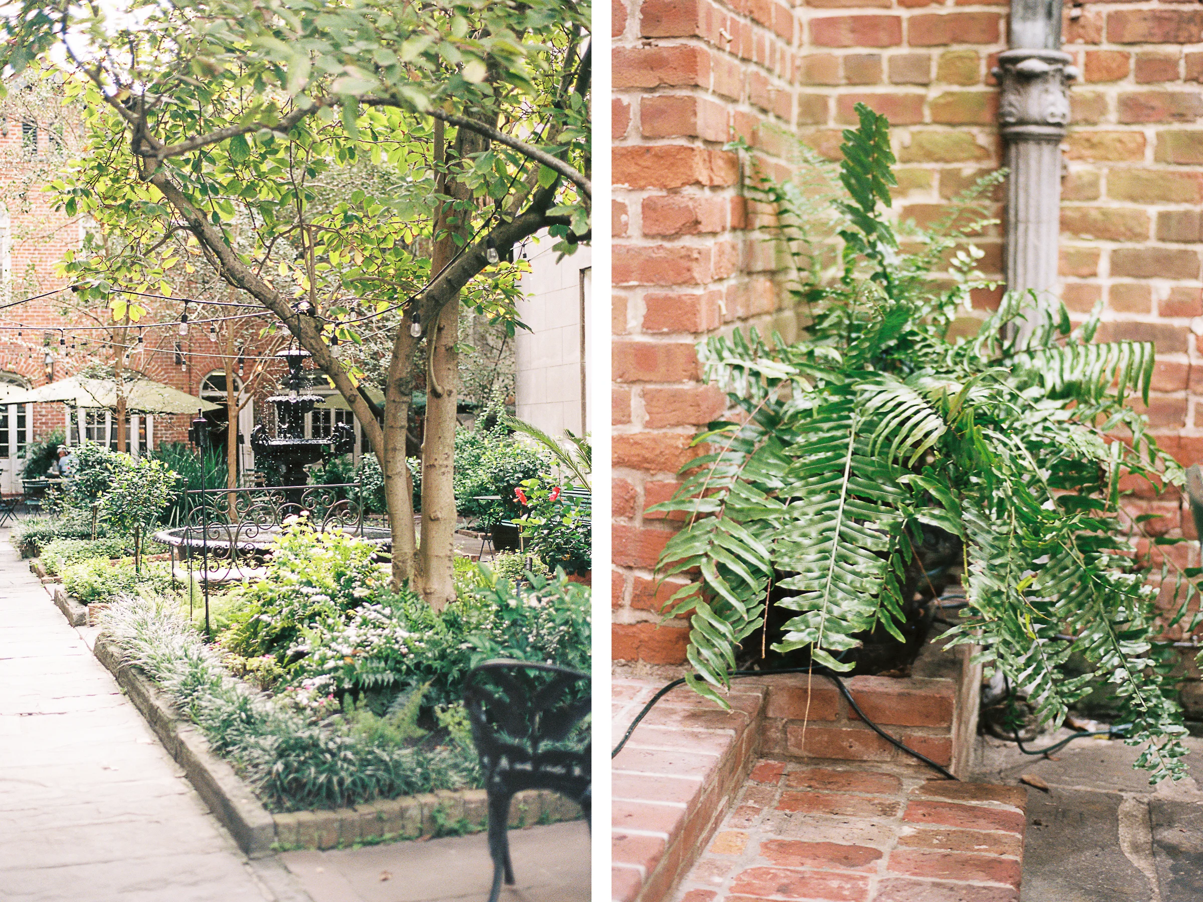 New-Orleans-Travel-Destination-Photography-6.jpg