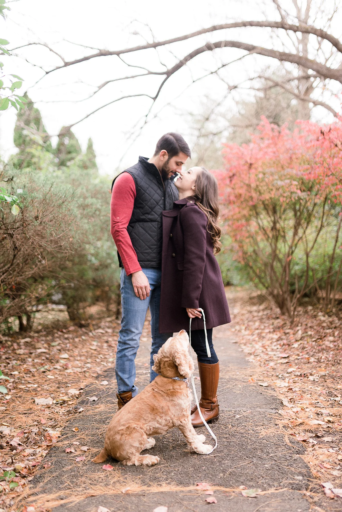 MD-Great-Falls-Engagement-Session-With-Dog-Fall-Foliage-35.jpg