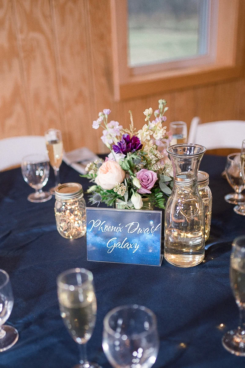 VA-Wedding-Winter-Stover-Hall-Stars-Reception-79.jpg