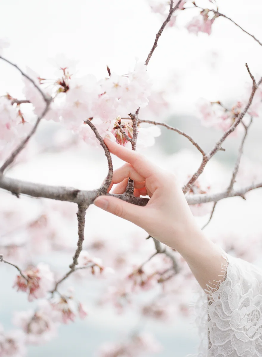 DC-Engagement-Cherry-Blossom-Tidal-Basin-24.jpg