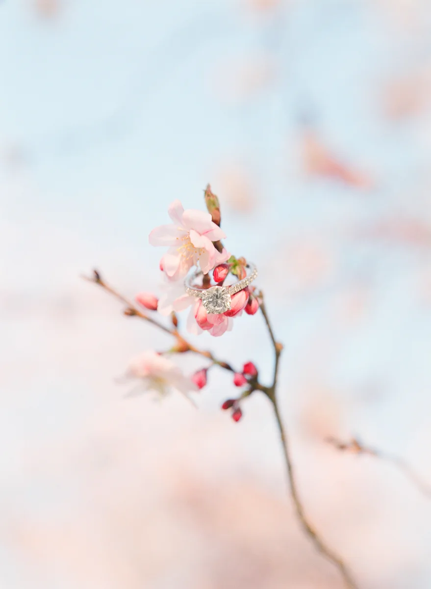 MD-Engagement-Spring-Ellicott-City-Centennial-Park-23.jpg