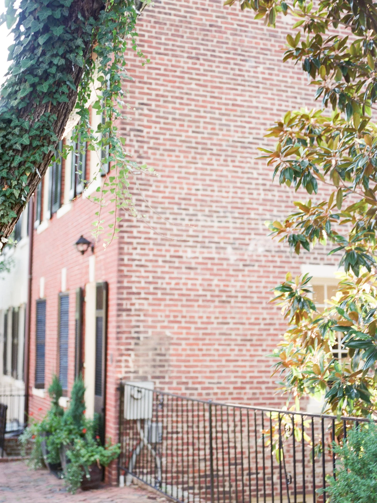 VA-Old-Town-Alexandria-Summer-Engagement-27.jpg