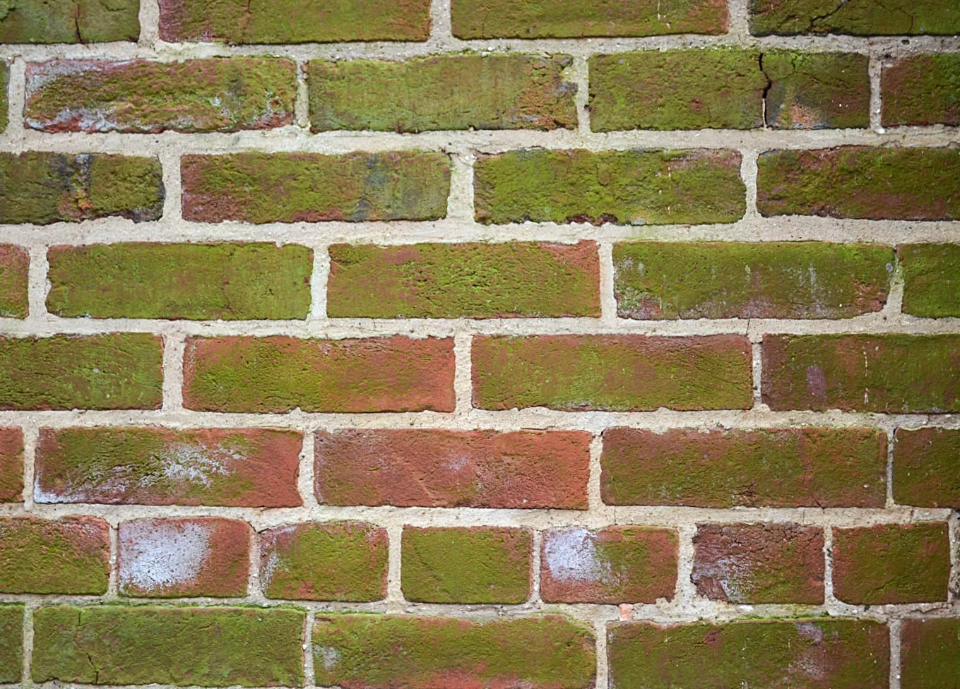 brickcloseup.jpg