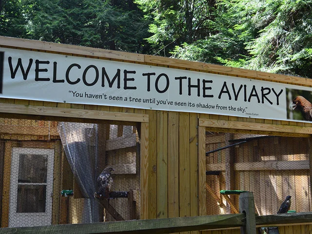 deep_creek_aviary_1474493675586_46705492_ver1.0_640_480.jpg