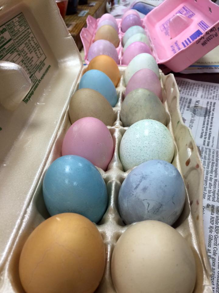 egg9.jpg