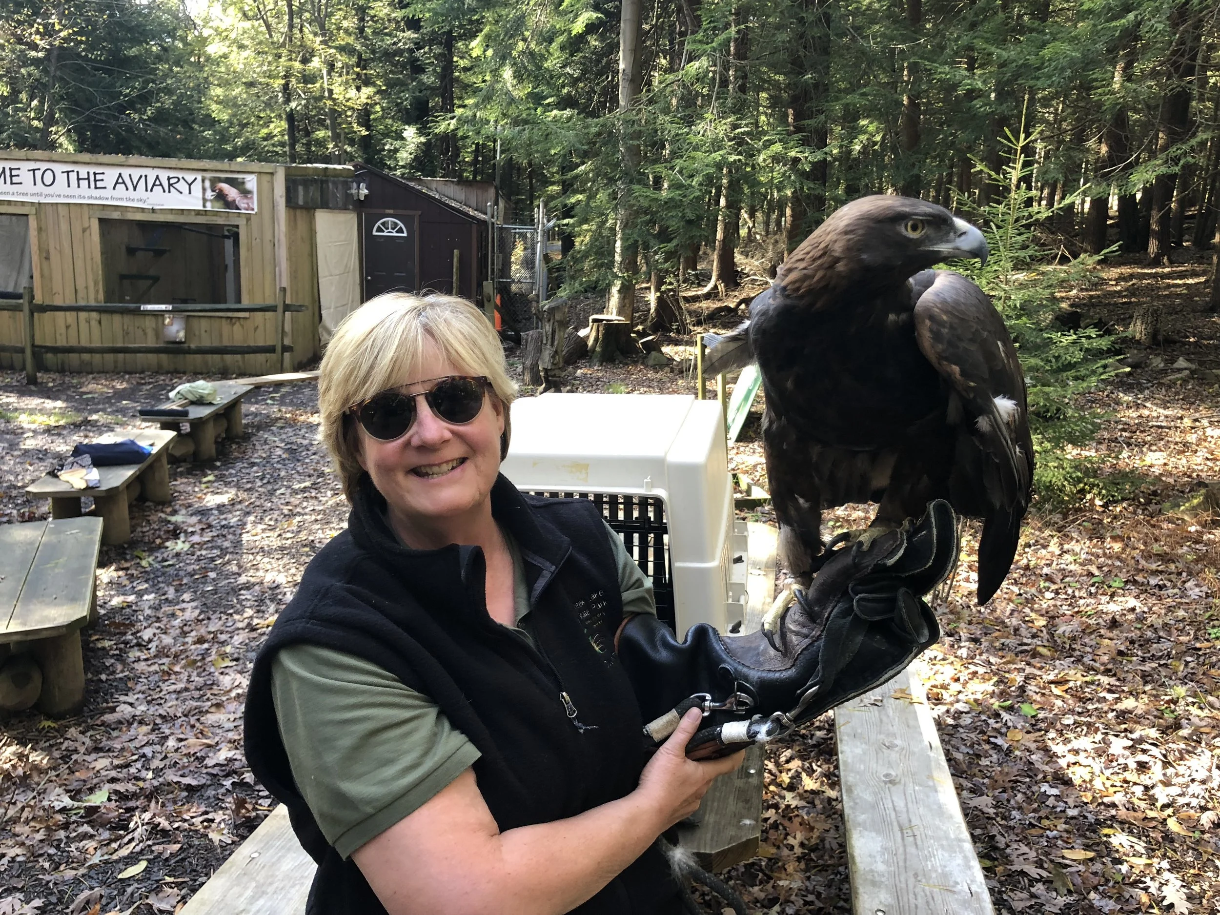 Volunteer Barb Bailey holding our Golden Eagle