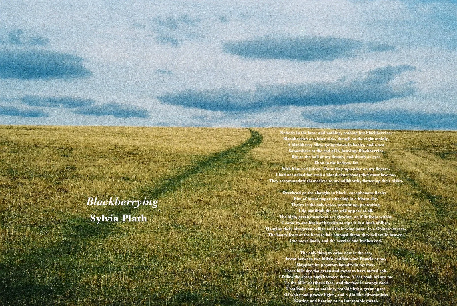 Broadside.Winrock.jpg