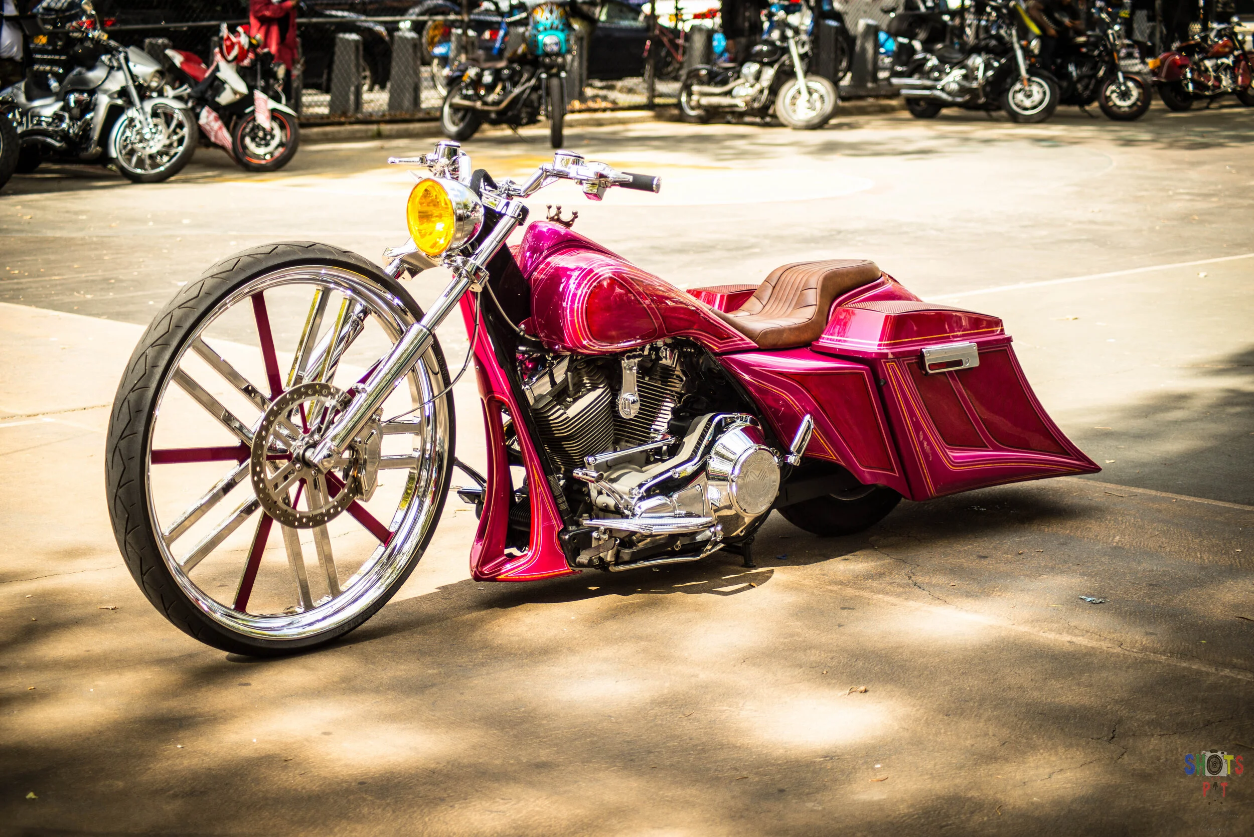 dsc_3240.JPG