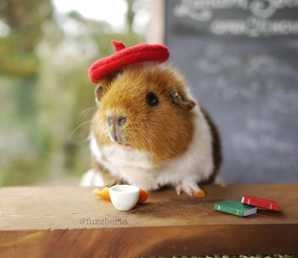 via Fuzzberta