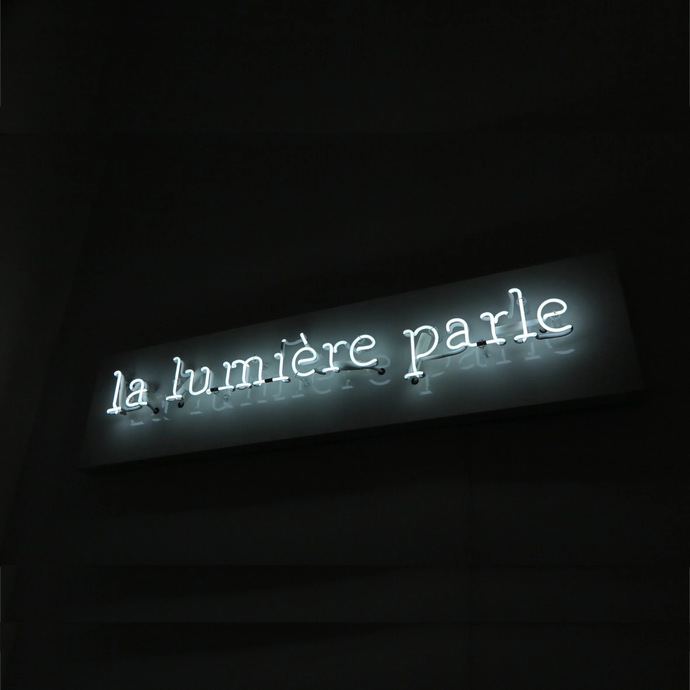 la-lumiere-parle.jpeg