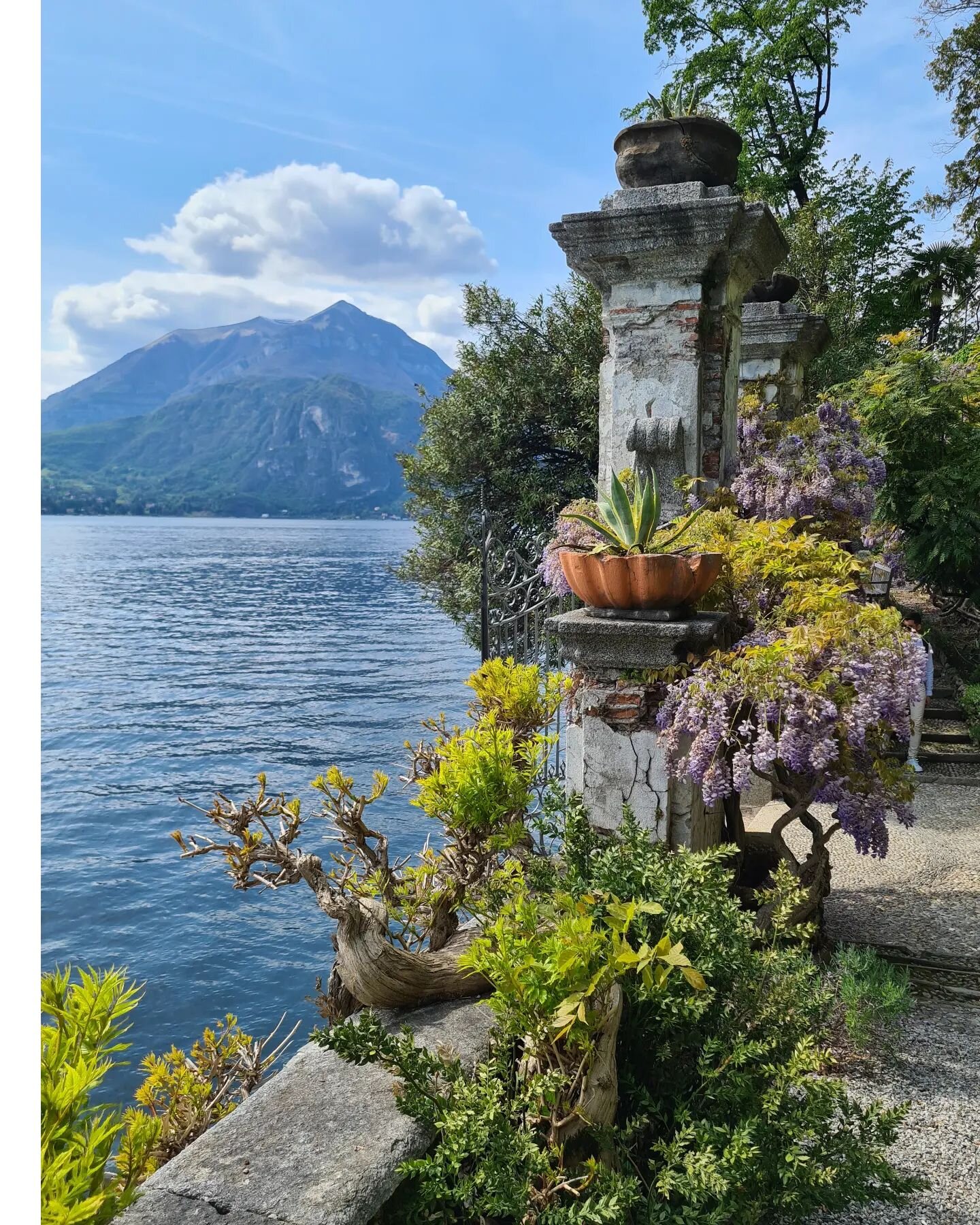 Looking out from the Botanical Gardens at Varenna, Lago di Como. I don't mind my composition on this photo! 📸
For 15 euros a day, you could go from one middle Lake destination to another by ferry ⛴️