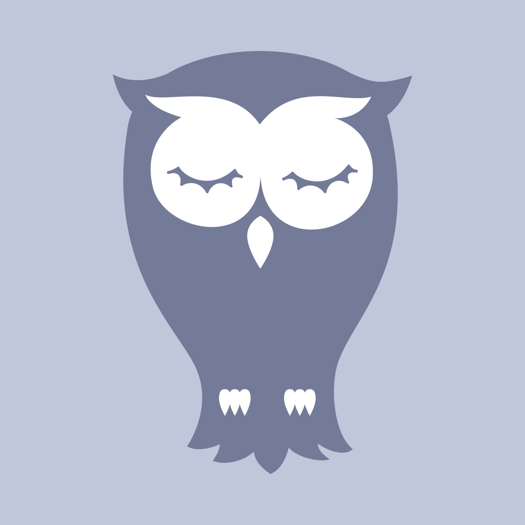 Pukka Anims Owl.png