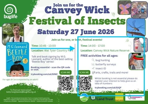 Canvey-Wick-Festival-of-Insects-1024x724 copy.jpg
