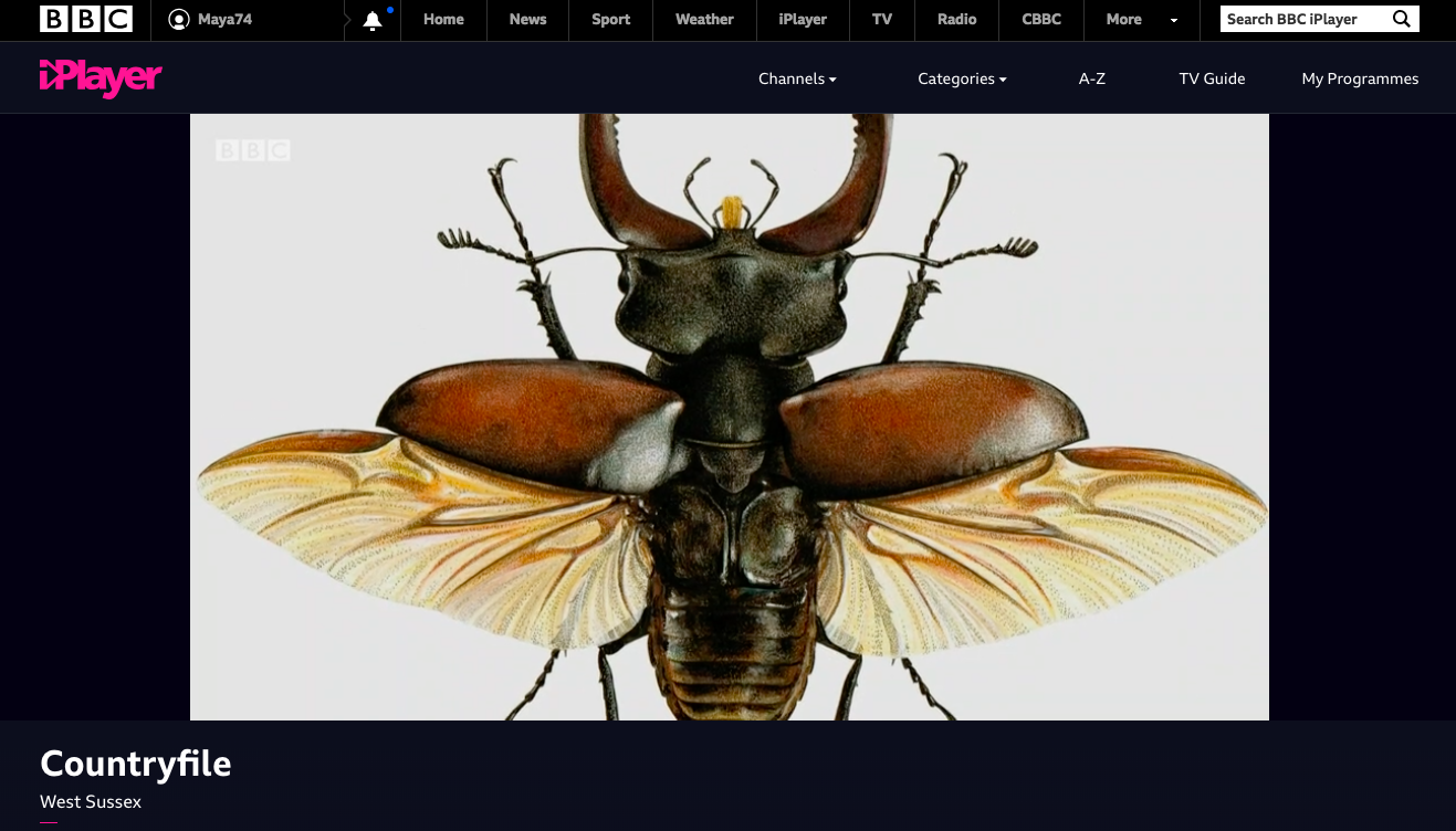 Screen Shot 2018-06-25 at 07.35.01.png