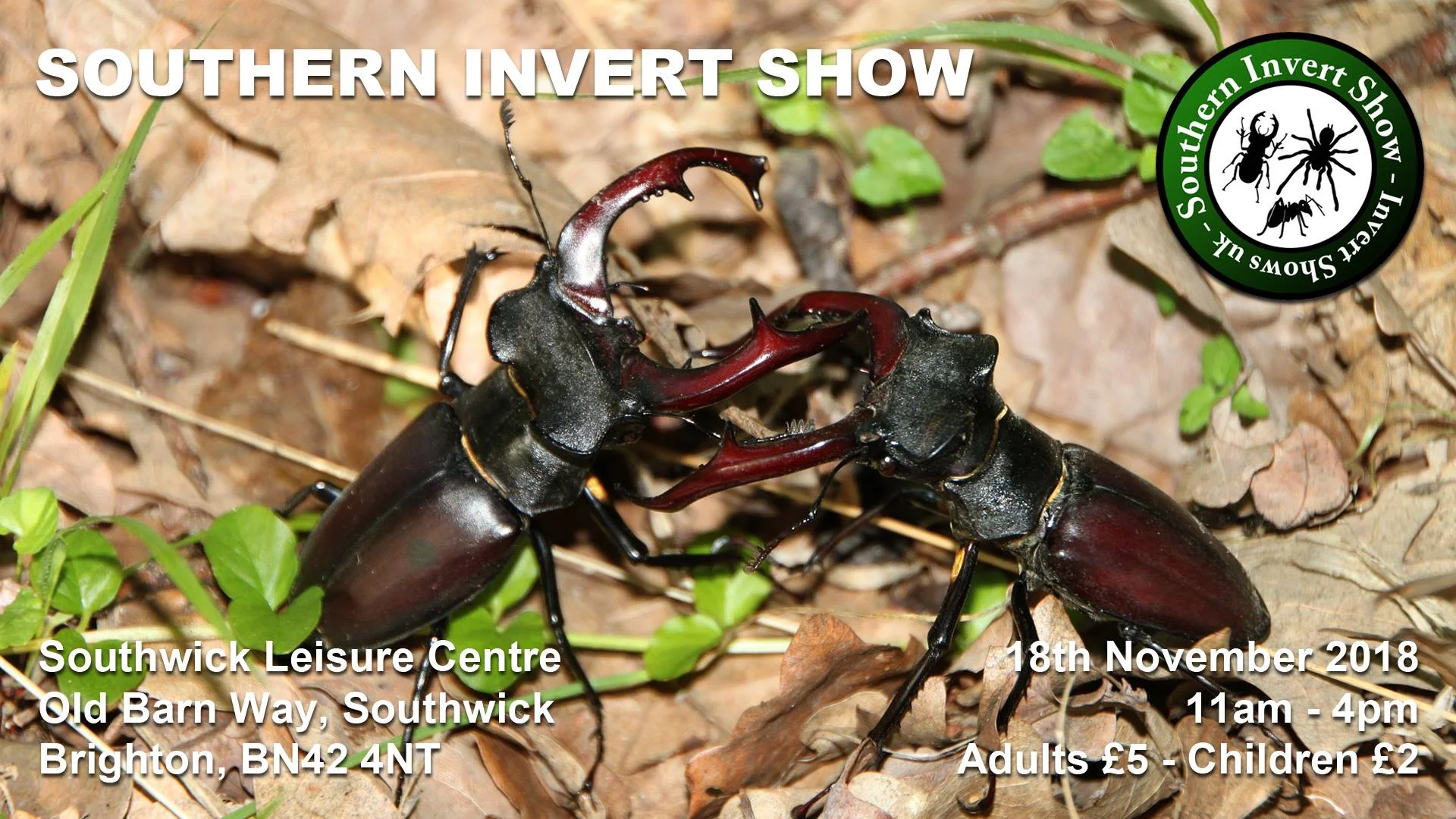 Join M.G. Leonard at the first Southern Invert Show