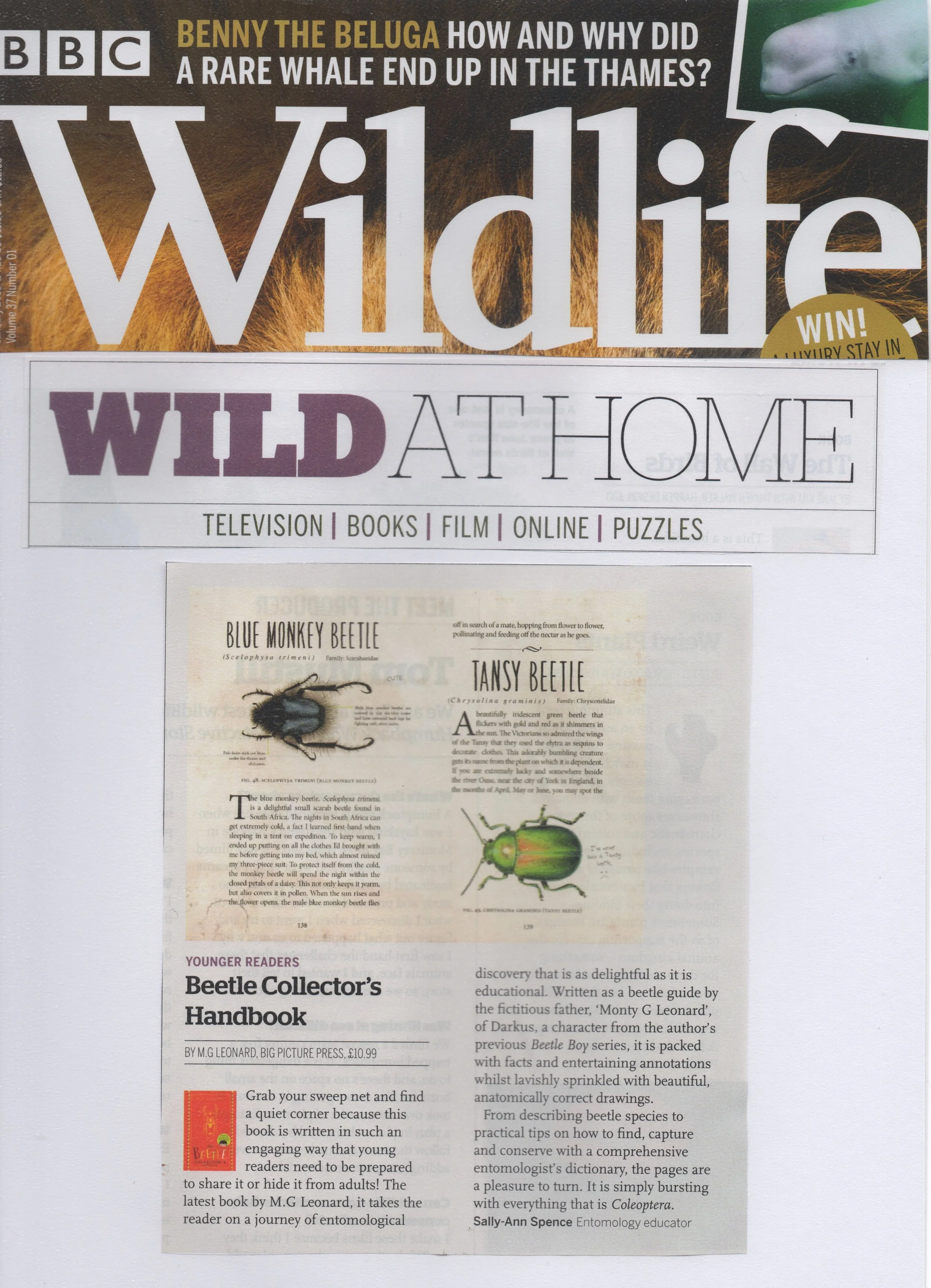 BCHB_BBCWildlife_ReviewJan2019.jpeg