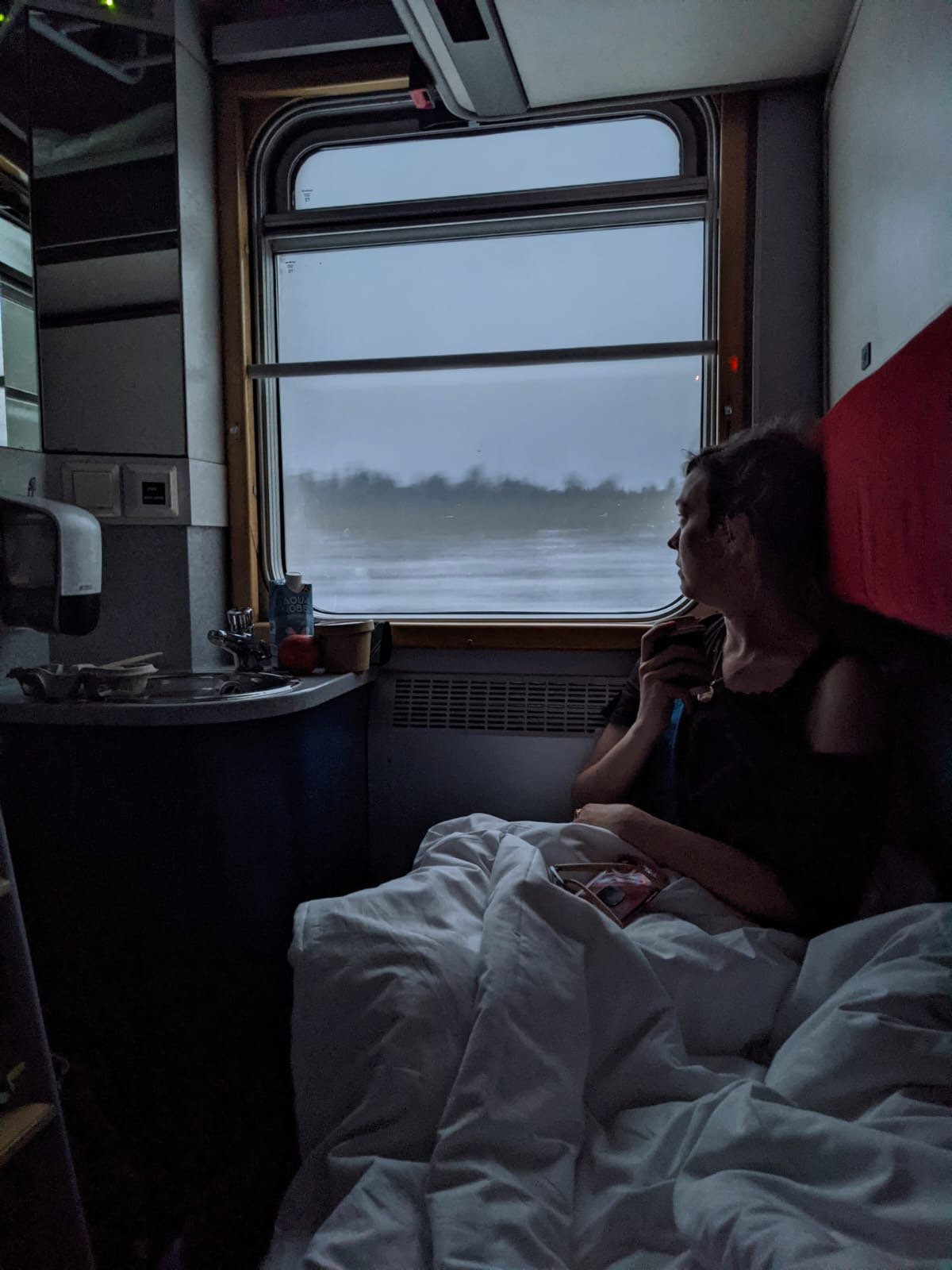 Girl on a train on the way to the Arctic