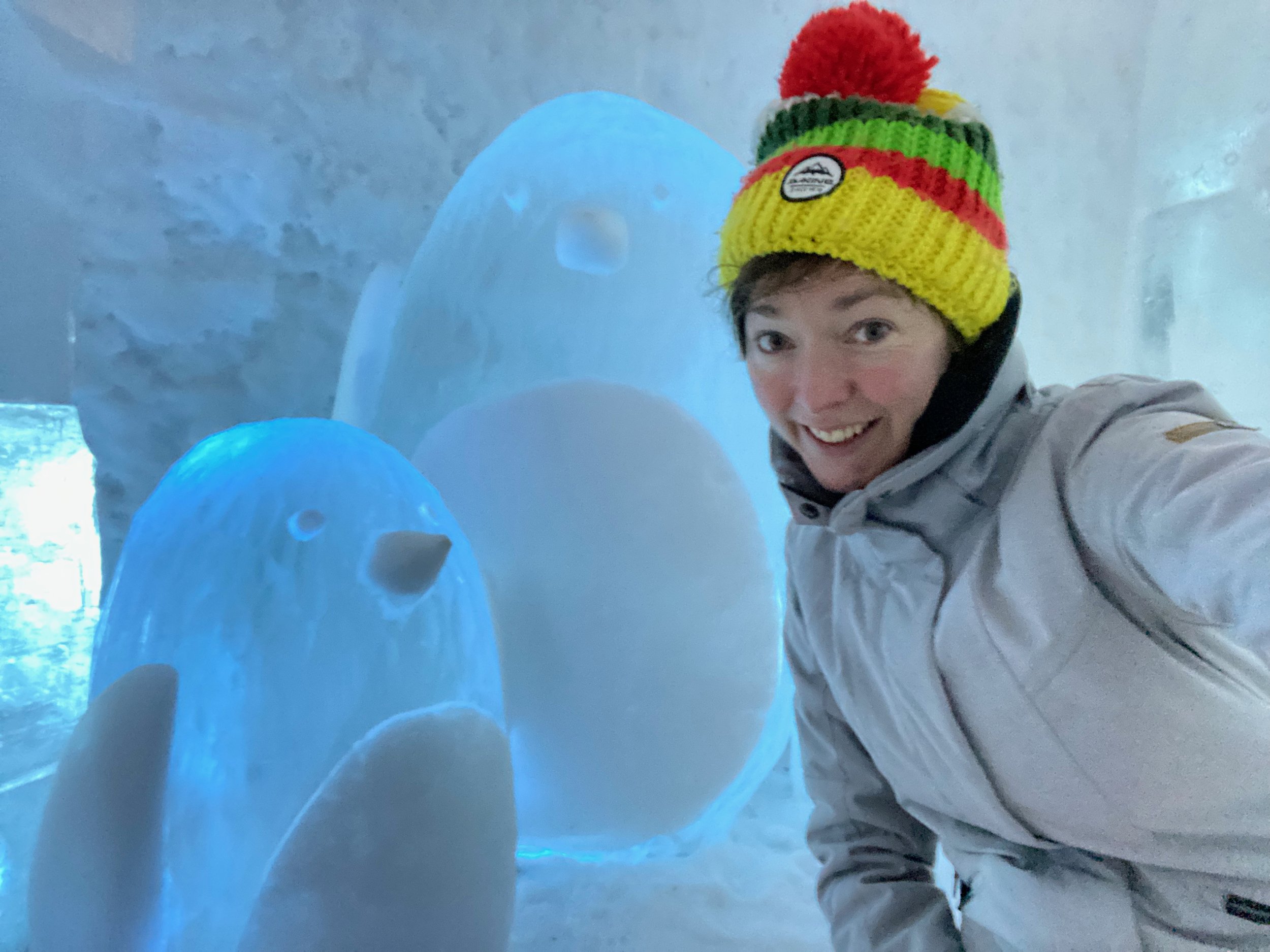 The Ice Hotel penguins