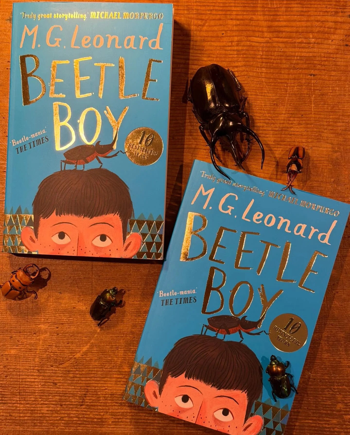 The most splendid new 10th anniversary edition of Beetle Boy arrived in the post this week. It contains a new introduction written by me and a prologue that was originally cut. It will be scurrying into bookshops in June. So why not befriend a beetle