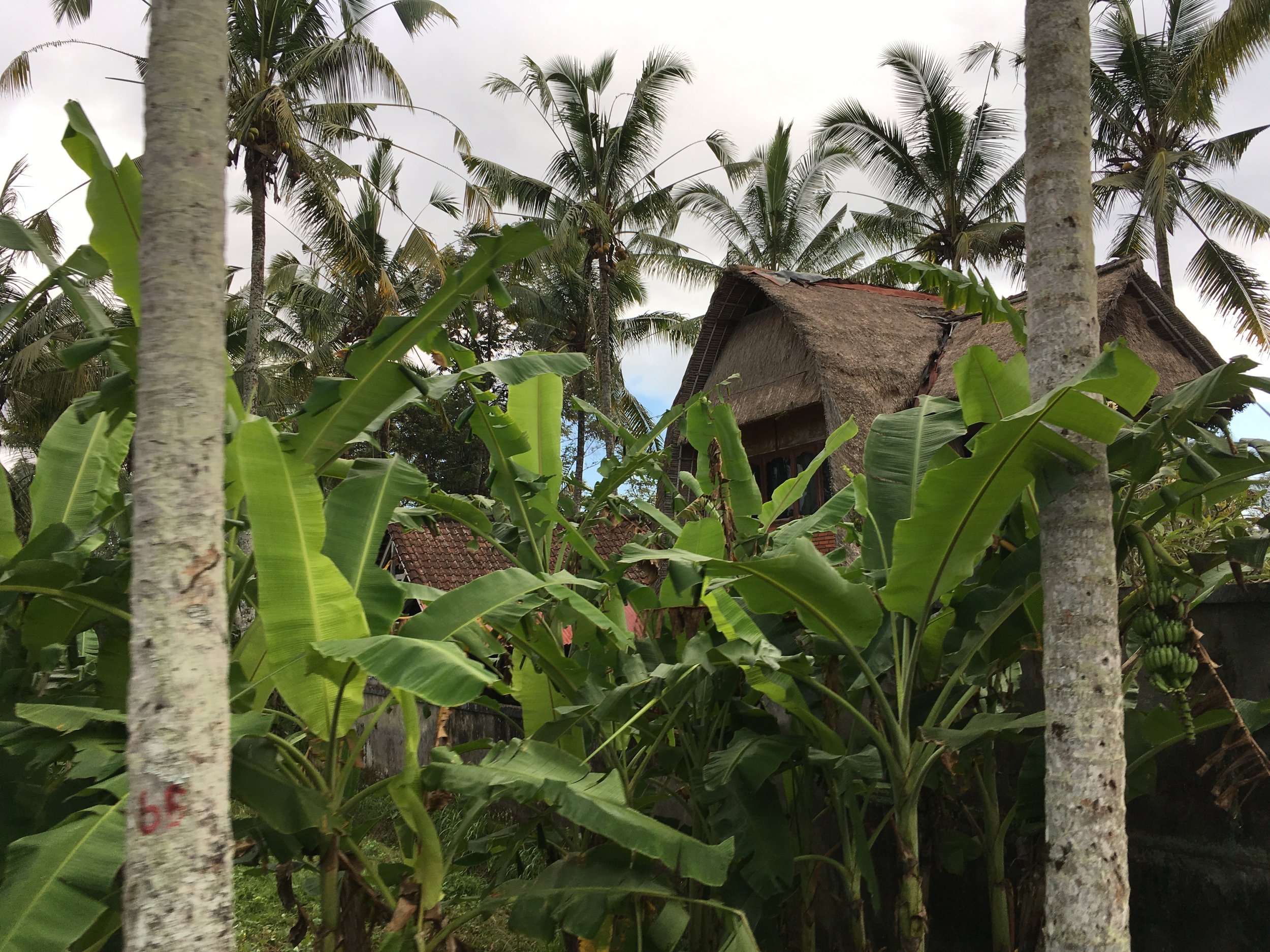A photo of Bali, taken on the bike 