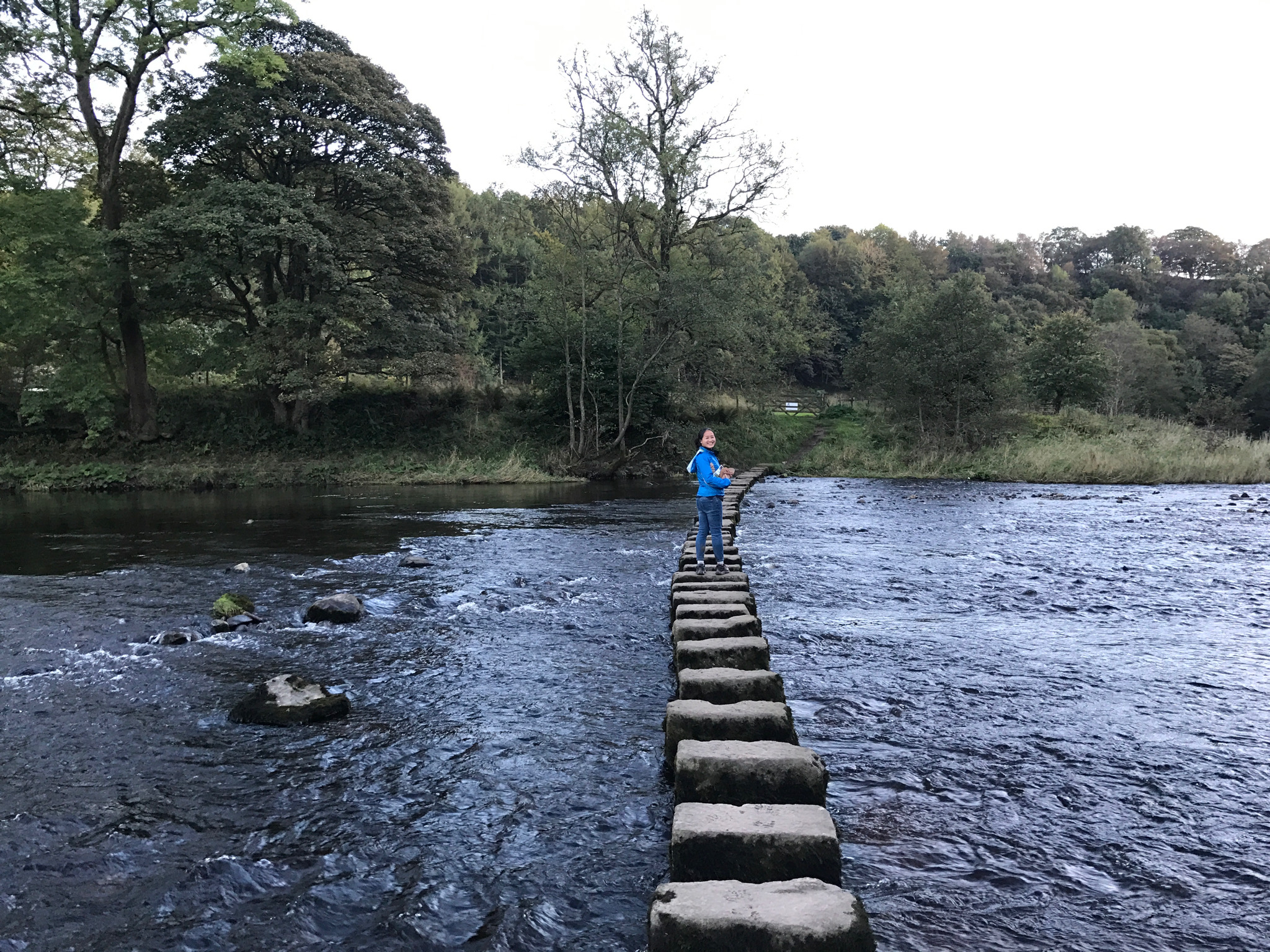 The stepping stones