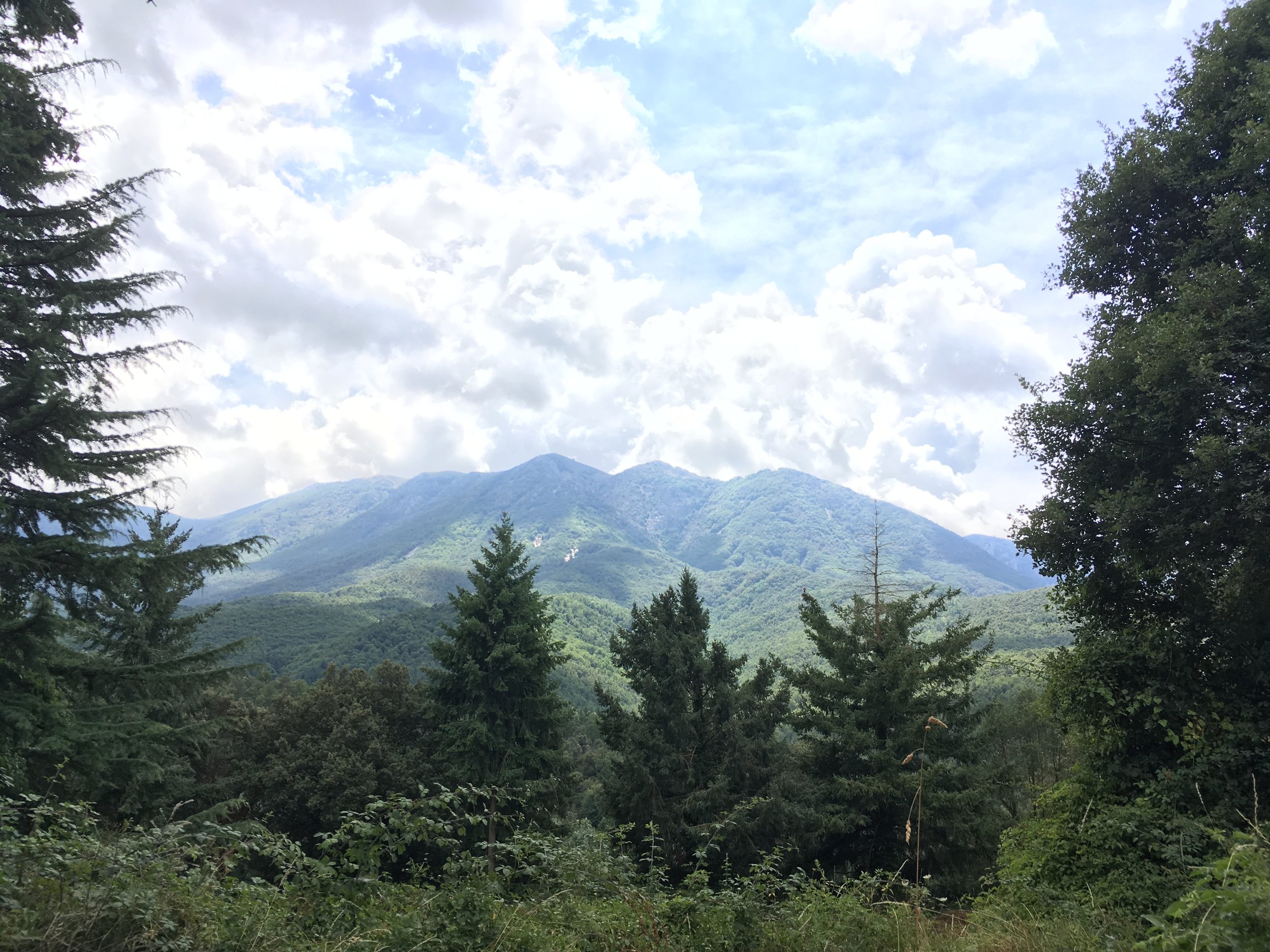 A view from our Airbnb's house 