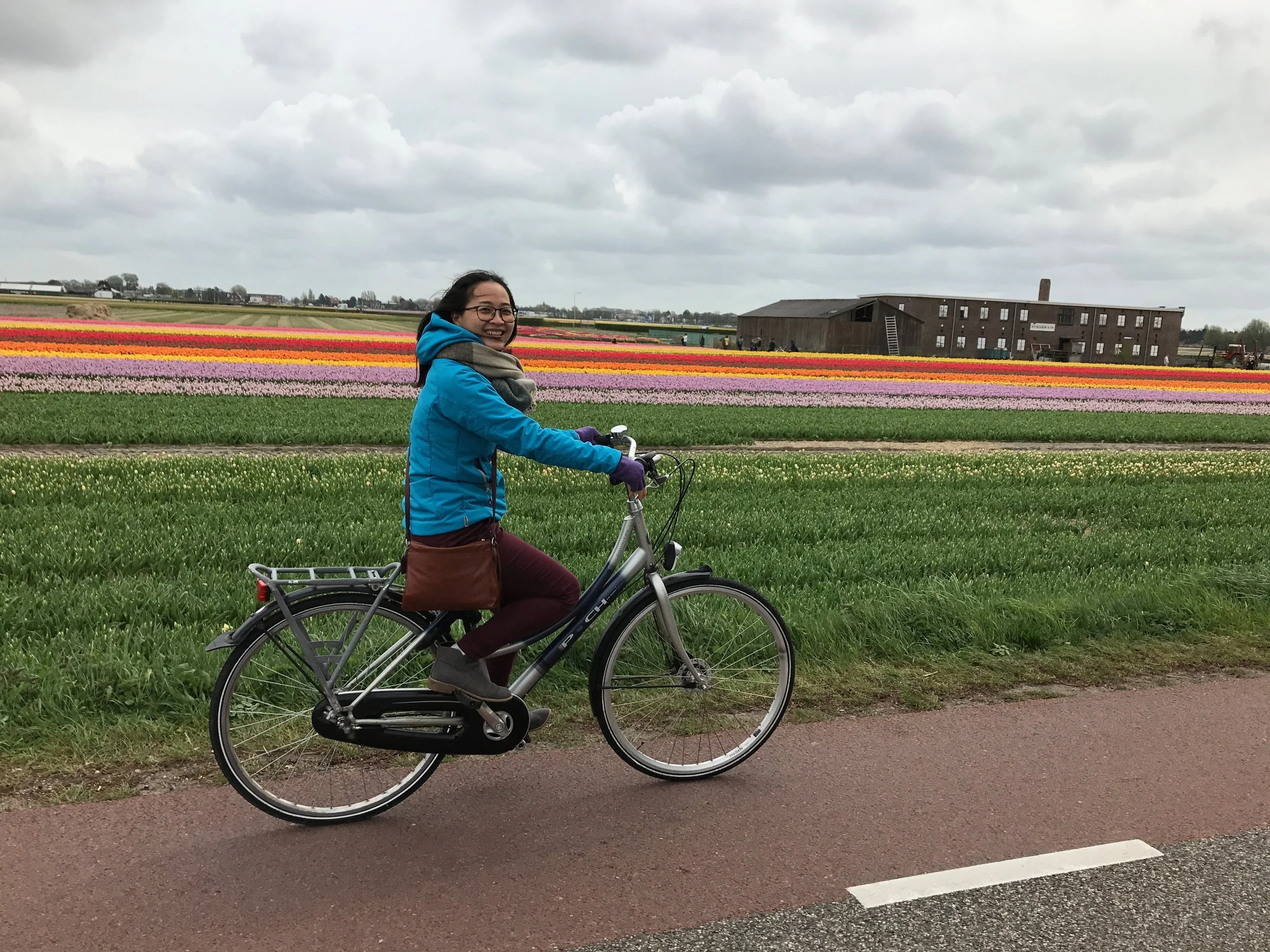 Cycle to the tulip fields