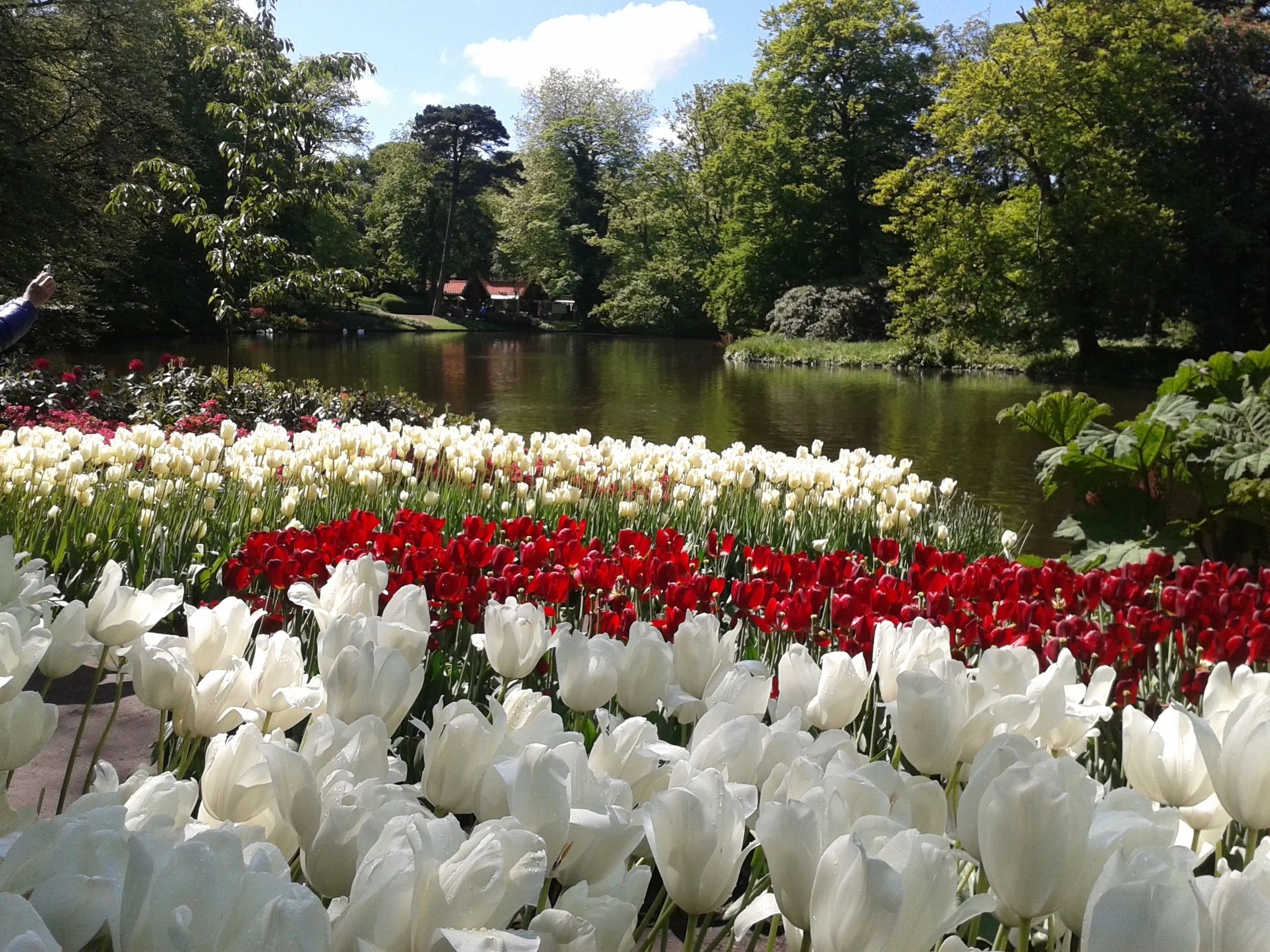 Keukenhof