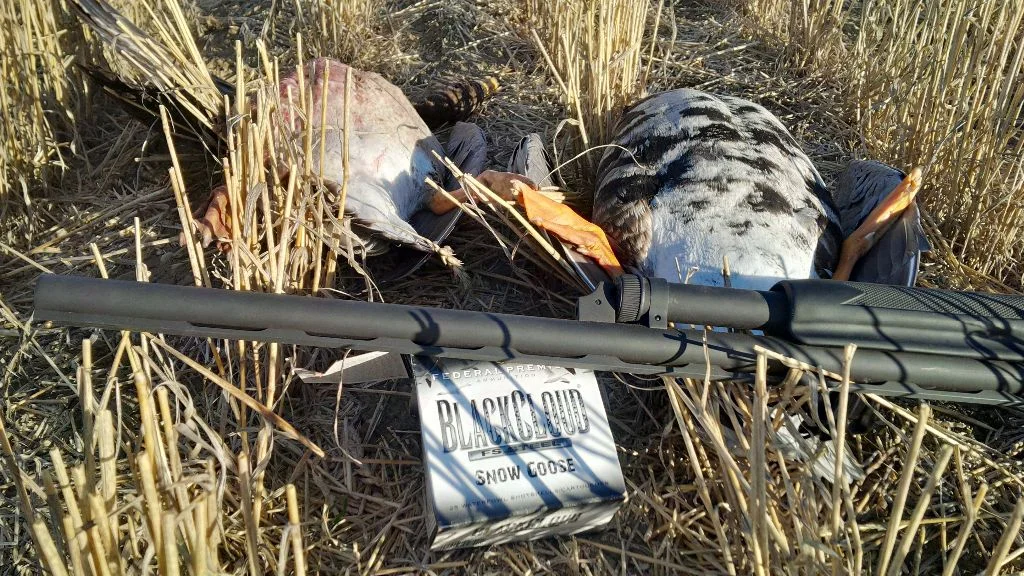 Black Cloud FS Steel Snow Goose