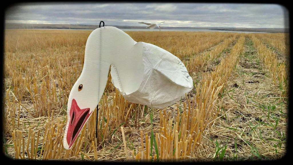 Snow Goose Hunt 2013   What's Wrong With You???
