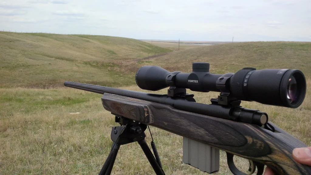 First Gopher Hunt – 2014