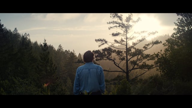 Huawei 'The Explorers: Designed By Nature'
