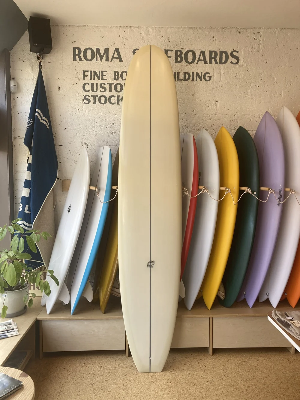 IMG_6073.JPG?format=1000w