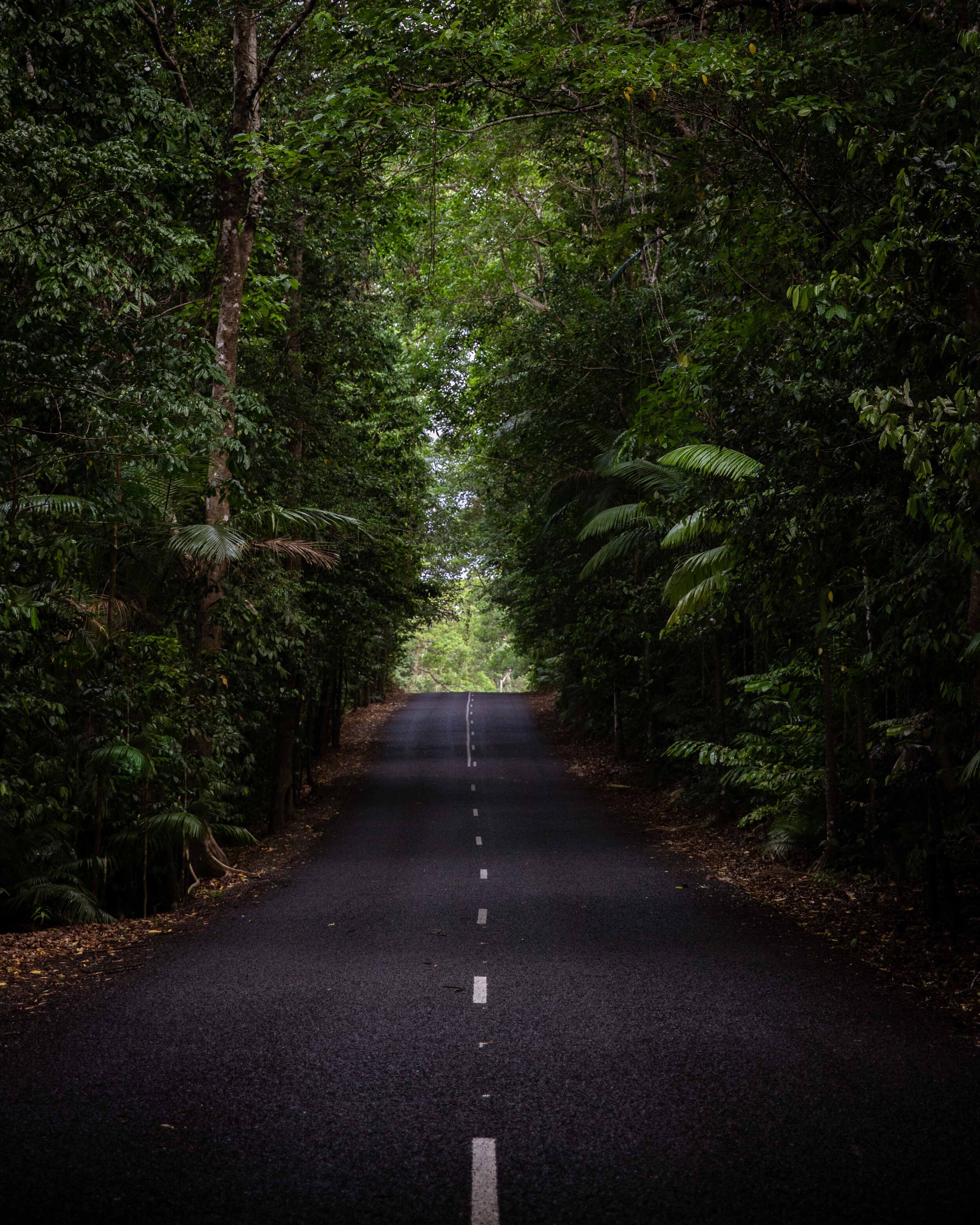 Far North Queensland