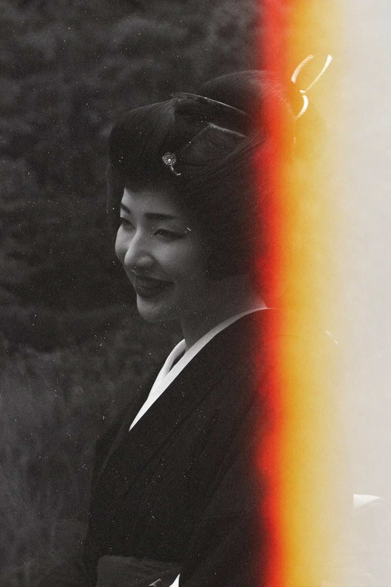geisha_analog overlay 1.jpg